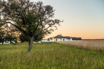 Obraz premium Neubaugebiet bei Sonnenuntergang