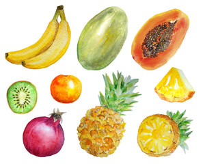 A set of insulation elements for your design. Hand painted tropical fruits, ripe and juicy. Healthy food concept, vegan food. Summer and autumn themes.