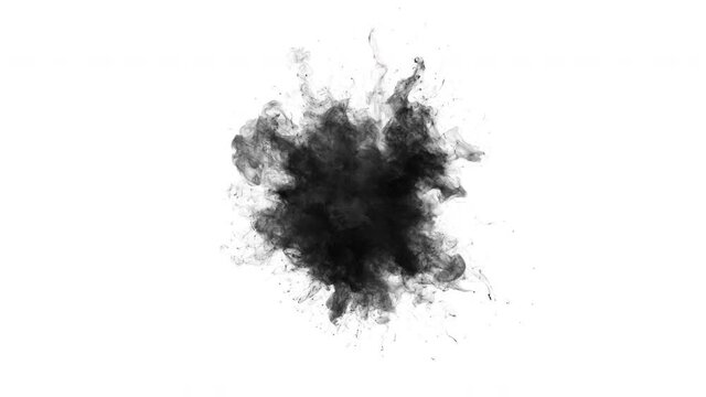 Smoke Burst - black powder gas explosion. Fluid ink particles slow motion alpha channel isolated on white 4k