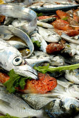 different kinds of freshly caught fish at a fish market stall in Italy Mediterranean Sea