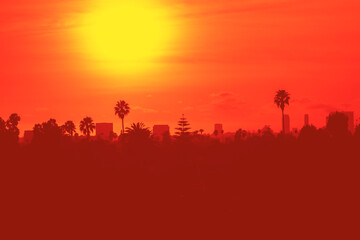 Fototapeta na wymiar Sunset over Los Angeles skyline with buildings and palm trees in California