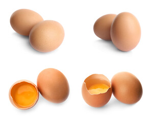 Set of fresh eggs on white background