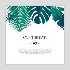 Gentle invitation with tropical leaves and monster. Minimalist wedding invitation card design, different green plants on white