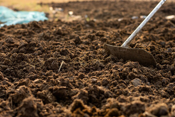 Manure or animal manure for use in farming or agriculture.