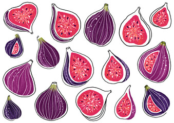 Hand drawn digital purple figs illustration. Isolated purple figs clipart. Fig elements set. Figs stickers.