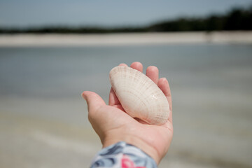 shelling on Marco Island 10000 islands 