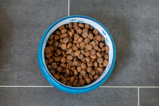 Dry pet food in a white ceramic bowl