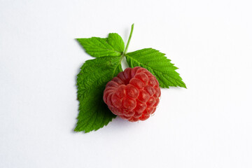 One ripe raspberry isolated on white background close-up. Beautiful red fresh raspberries with blurred leaves along the contour on the table. Macro shooting. Healthy and wholesome food concept