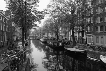 Fototapeta premium Amsterdam - Netherlands