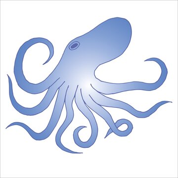 Vector image of an octopus on white background. Wild Animals, Vector illustration.