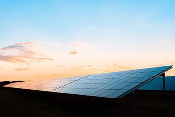 Solar Farm at Sunset - 367542259
