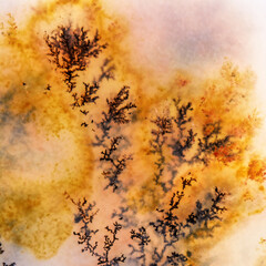 Moss Agate with Crystals Dendrite