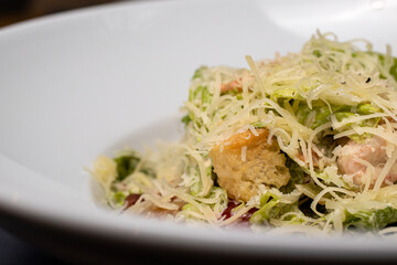 Salad with hard yellow cheese, herbs and chicken meat in a white plate. Restaurant menu
