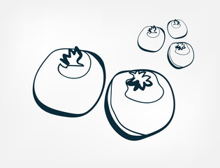 blueberry fruit vector one line art isolated illustration