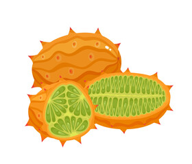 Vector illustration of exotic fruit kiwano isolated on white.