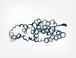 grapes fruit vector one line art isolated illustration