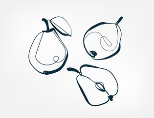 pear fruit vector one line art isolated illustration