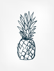 pineapple fruit vector one line art isolated illustration