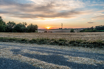 Mähdrescher bei der Ernte auf dem Feld
