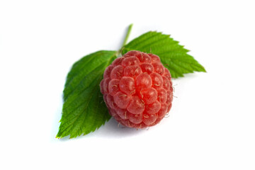 One ripe raspberry isolated on white background close-up. Beautiful red fresh raspberries with blurred leaves along the contour on the table. Macro shooting. Healthy and wholesome food concept