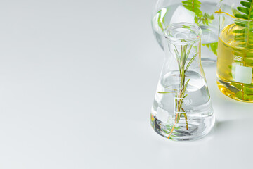 Plants in laboratory glassware. Skincare products and drugs chemical researches concept