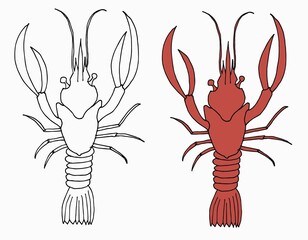 Lobster vector flat illustration isolated on white background. Fresh seafood icon.