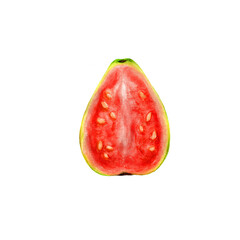 Watercolor illustration of juicy sweet guava