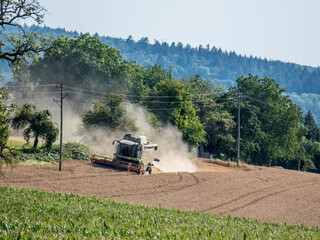 Mähdrescher bei der Ernte auf dem Feld
