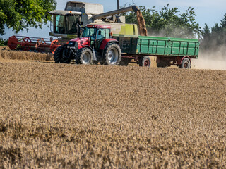 Obraz premium Mähdrescher bei der Ernte auf dem Feld