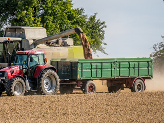 Mähdrescher bei der Ernte auf dem Feld