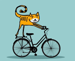 Cat on a bicycle