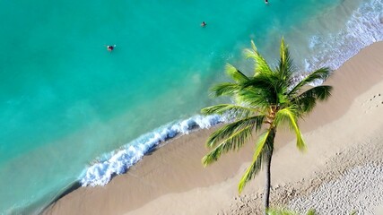 Fototapeta na wymiar An aerian view of a tropical beach above a palm