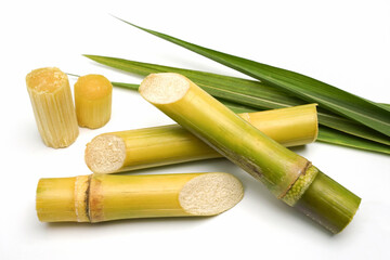sugar cane and brown sugar on white isolate background