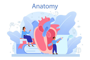 Anatomy school subject. Internal human organ studying. Anatomy