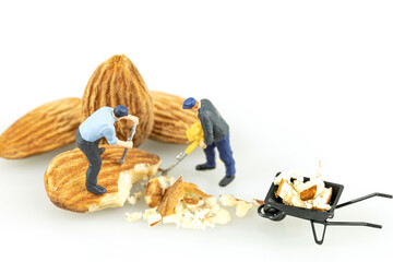 Close up of Miniature worker with almond seeds isolate on white background.