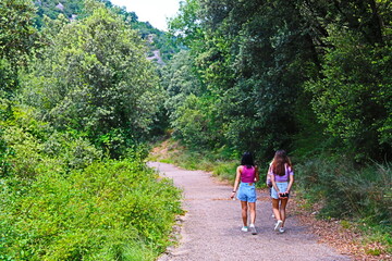 fondo naturaleza con hojas y plantas verdes de montaña