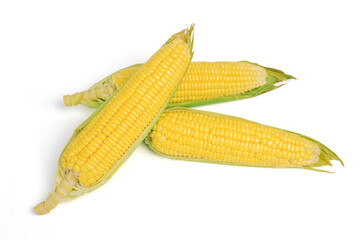 Fresh corn on white isolate background with clipping path.