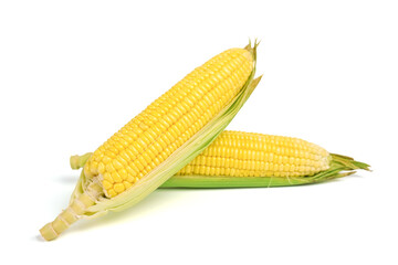 Fresh corn on white isolate background with clipping path.