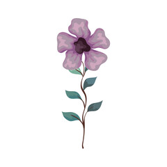 flower lilac color with branch and leaves, on white background vector illustration design