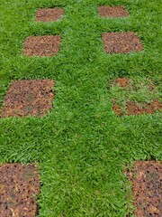 brick wall and grass