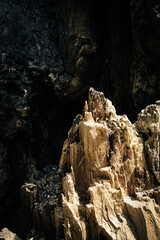 Old wooden texture background. Vertical image.