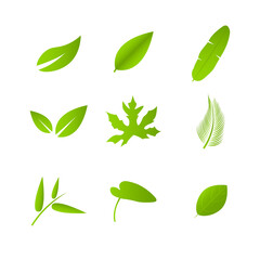 Green Leaf Icon Design Illustration Graphic