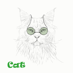 Vector cute cat with glasses on a white background