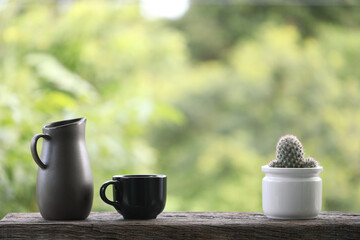 Teapot with black cup with cacti in white pot