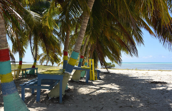 Bahamas- Mayaguana- Picnic Area at the Beach