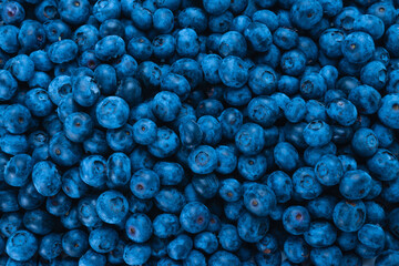 Fresh blueberry background.