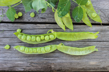 Young, green peas on a twig and on a Board close-up