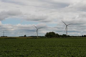 Fototapeta na wymiar Wind turbines generating electricity in green field. Renewable energy concept. 