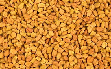Fenugreek Seed (Methi Dana) Culinary Herb Spice Top View Background.