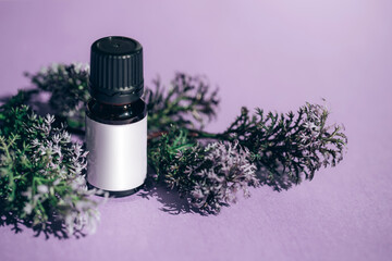 Bottle of essential oil with dry herbs and flowers on violet background.